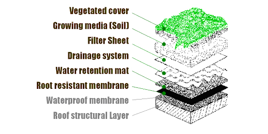 Green Roof Structure Build up